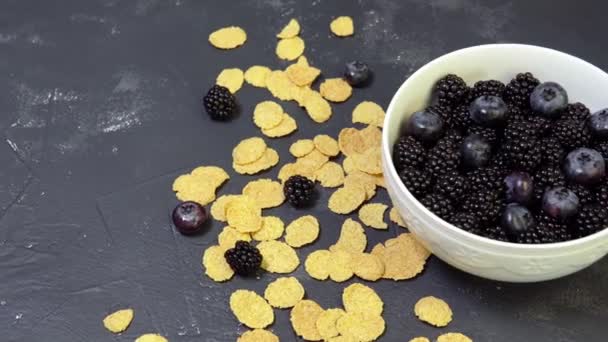 Misku ostružin, borůvek a cereálií. ranní přírodní snídaně — Stock video