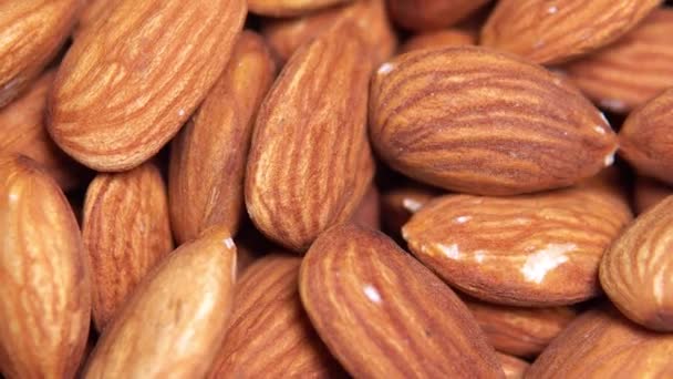 Almond berputar close-up. latar belakang almond — Stok Video