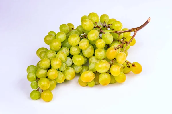 Green bunch of grapes on white background — Stock Photo, Image