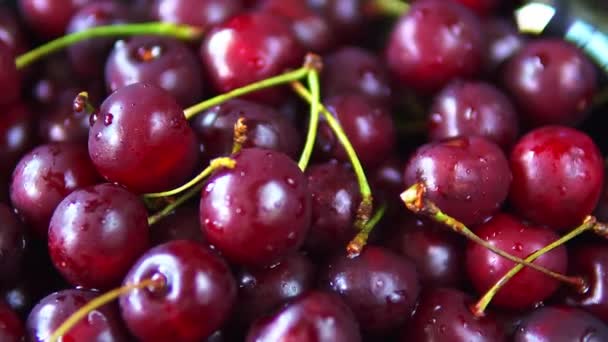 Close-up rotação de frutos de cereja maduros vermelhos — Vídeo de Stock