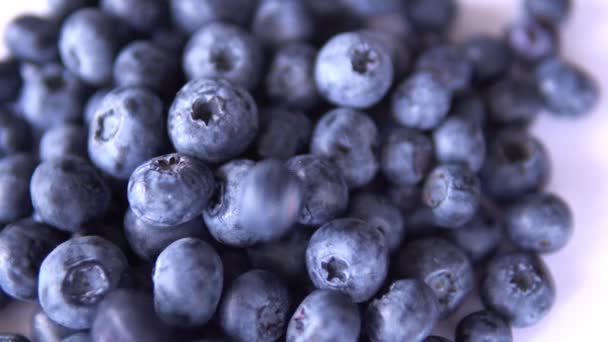 Ripe large blueberries close-up on the table — Stock Video