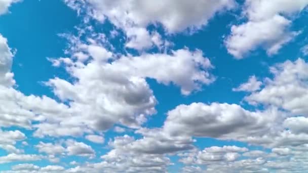 Idő Telik Kilátás Fehér Felhők Futó Gyors Kék Égen — Stock videók