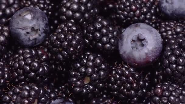 Nahaufnahme Von Brombeeren Und Blaubeeren Auf Weißem Teller — Stockvideo