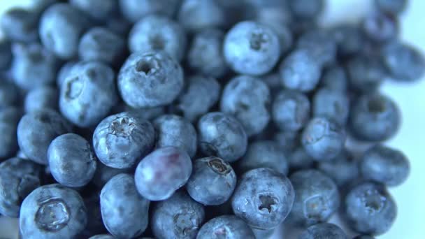 Rijpe grote bosbessen close-up op tafel — Stockvideo