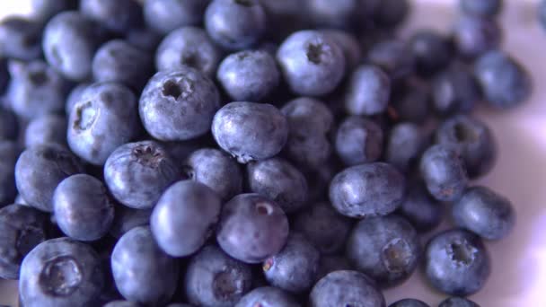Ripe large blueberries close-up on the table — Stock Video