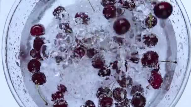 Тёмно Красные Спелые Вишни Падающие Стеклянную Чашу Водой — стоковое видео
