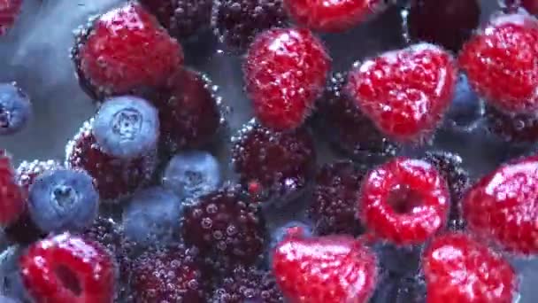 Frambuesas Arándanos Cerezas Tazón Con Agua — Vídeos de Stock