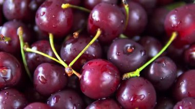 Koyu kırmızı olgun kiraz yakın görünümü