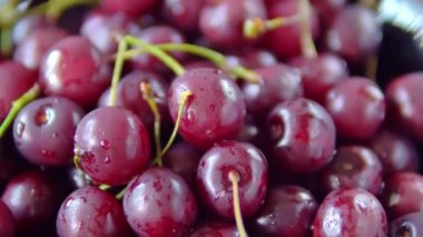 Koyu kırmızı olgun kiraz yakın görünümü