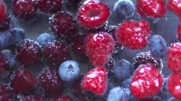 Frambuesas Arándanos Cerezas Tazón Con Agua — Vídeos de Stock