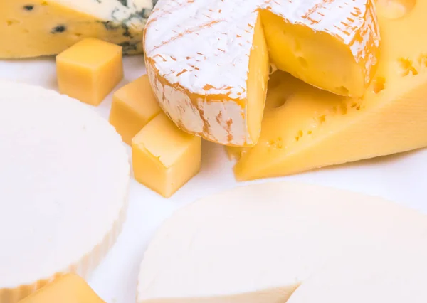 Varios quesos lácteos sobre un fondo blanco — Foto de Stock
