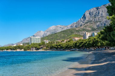 Yeşil çam ağaçlı Makarska plajı manzarası. Dalmaçya, Hırvatistan