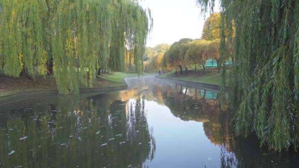 Осенний пейзаж. Испарение на поверхности воды в городском парке — стоковое видео