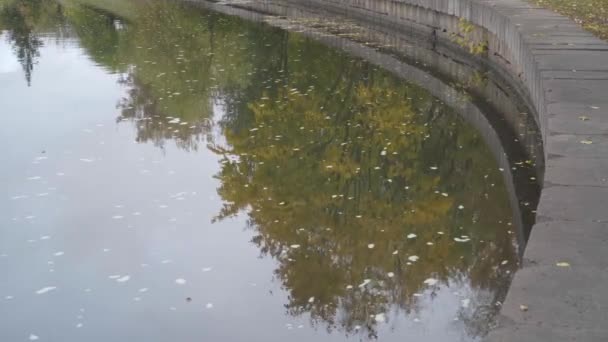 Paysage d'automne. reflet des arbres d'automne dans l'eau par une journée nuageuse — Video