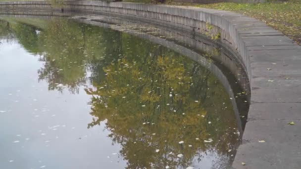 Herfst landschap. reflectie van herfstbomen in het water op een bewolkte dag — Stockvideo