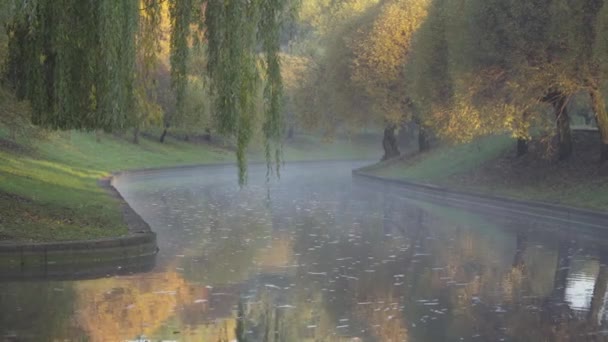 Nebel über dem herbstlichen Fluss am Morgen — Stockvideo