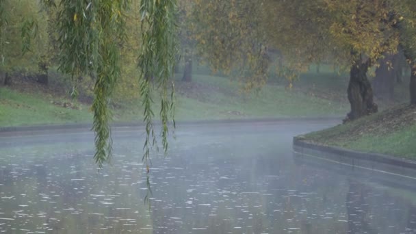 Mist over de herfstrivier in de ochtend — Stockvideo