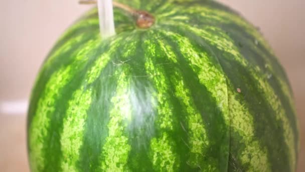 Wash the watermelon under cold running water from the tap — Stock Video