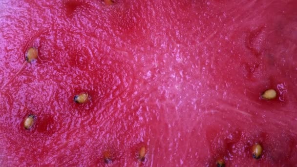 Wassermelonenfleisch aus nächster Nähe. die Rotation der Wassermelone — Stockvideo