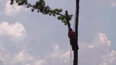 Ağaç dallarını testereyle keserek sigorta yaptırmak.