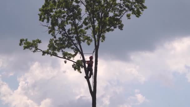 Belarus Ruzhany juni 2020. Snij boomtakken met kettingzaag op hoogte met verzekering — Stockvideo