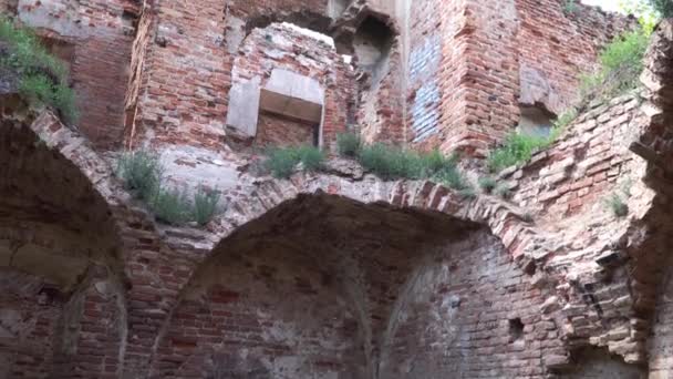 Belarus Ruzhany. Reruntuhan kompleks istana Sapeg di Ruzhany — Stok Video