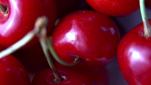 Close-up de cereja doce. rotação de cerejas vermelhas — Vídeo de Stock