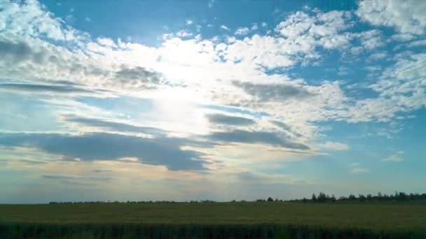 Zonsondergang boven tarweveld tijdspanne — Stockvideo