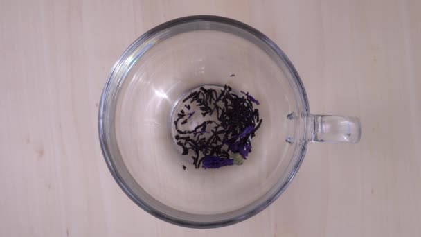 Заварювання чаю. вид зверху на прозорий кухоль з чаєм крупним планом — стокове відео
