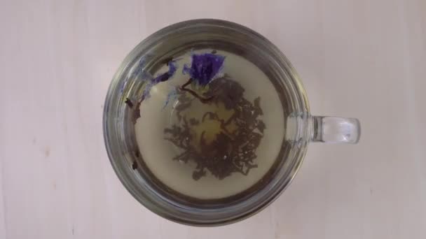 Timelapse de elaboración de té. vista superior de una taza transparente con primer plano de té — Vídeo de stock