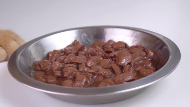 Ciotola di gatto rosso cibo primo piano — Video Stock
