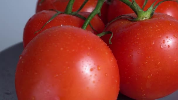 Os tomates em um ramo giram o close-up — Vídeo de Stock