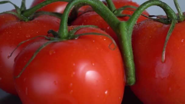 Os tomates em um ramo giram o close-up — Vídeo de Stock