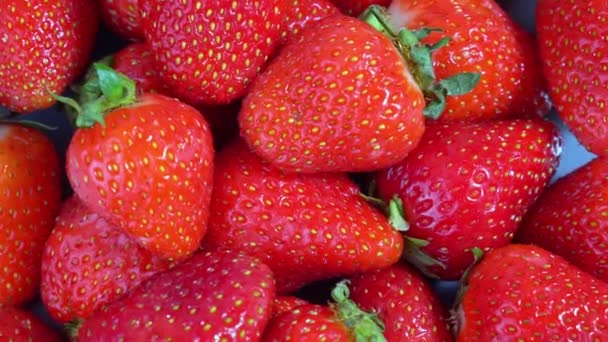 Fraises rouges mûres tourne gros plan — Video