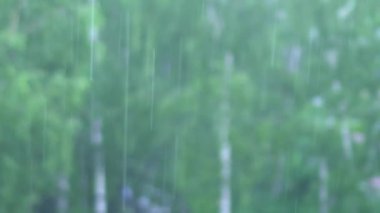 Ağaçların arka planına düşen yağmur damlaları