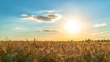 Sonbaharın üstündeki güzel gün batımı
