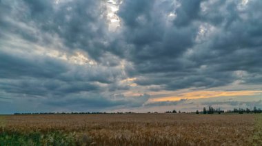 Buğday tarlasında fırtına bulutları