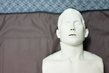 Tuval diriliş eğitim için kullanılan insan modeli..