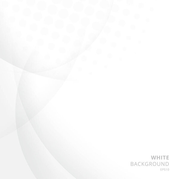 Abstract white background with circle and curve and halftone texture with copy space. Vector illustration