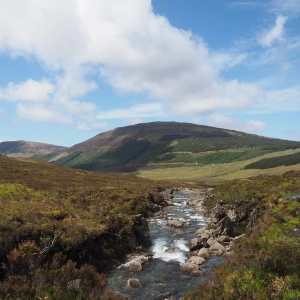 Écoulement Fluvial Dans Prairie Montagnes Arrière Plan — Photo