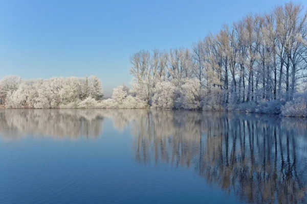 Malerischer Blick Auf Gefrorene Bäume Die Sich Einem See Spiegeln — Stockfoto