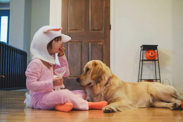 Chica Traje Conejo Sentado Suelo Comiendo Dulces Halloween Con Golden — Foto de Stock