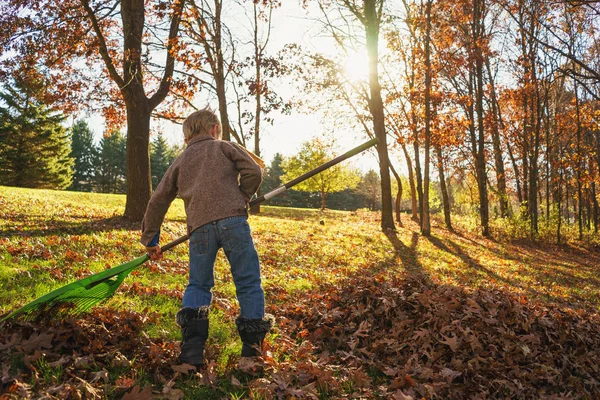 Young Boy Raking Autumn Leaves — Stock Photo, Image