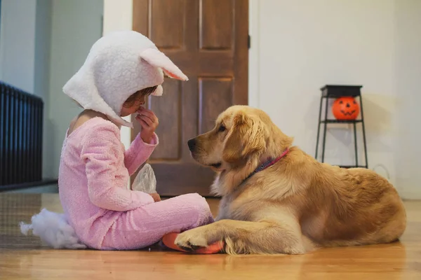 Κορίτσι Κοστούμι Λαγουδάκι Μοιράζονται Καραμέλα Απόκριες Σκυλί Golden Retriever — Φωτογραφία Αρχείου