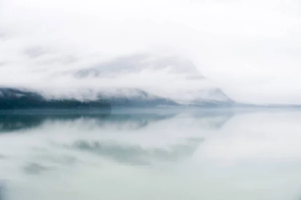 Dağ Orman Manzara Haines Alaska Amerika Usa — Stok fotoğraf