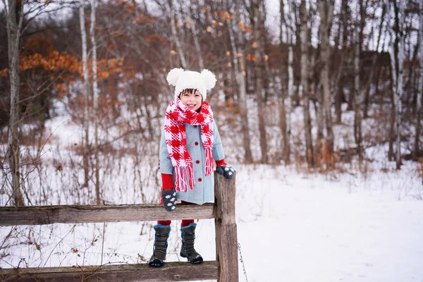 Девушка Стоящая Заборе Снегу — стоковое фото