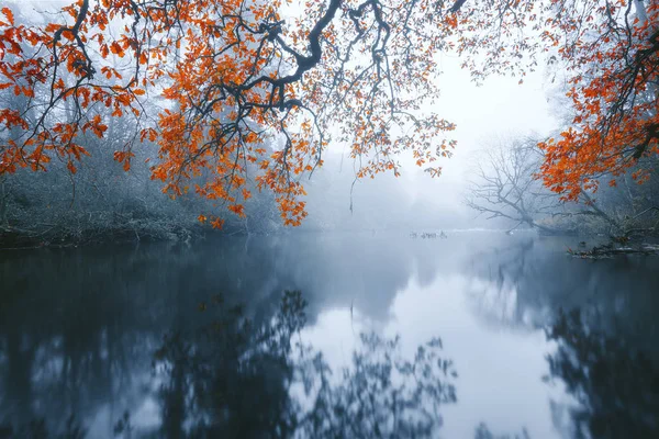 Scenic View Mist Dromore River Cavan Ireland — Stock Photo, Image
