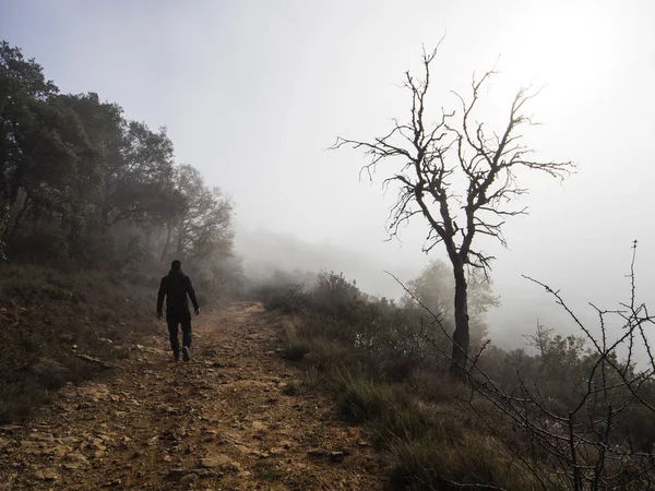 Man Hiking Trail Fog Spain — Stock Photo, Image