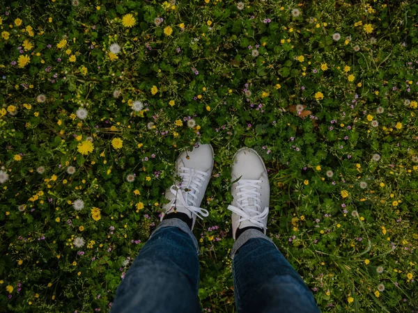 Primer Plano Los Zapatos Una Mujer Pie Prado Flores Marsella —  Fotos de Stock