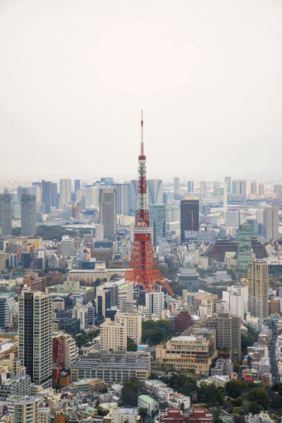 Scenic View Tokyo Tower Cityscape Tokyo Japan — Stock Photo, Image